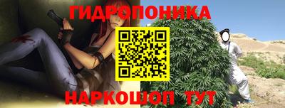 PSILOCYBIN Бугуруслан