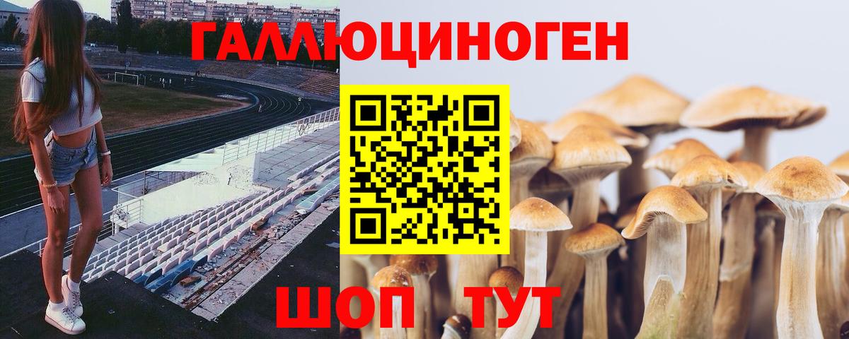 наркота  Вход с VPN  Михайловка  Галлюциногенные грибы MAGIC MUSHROOMS 