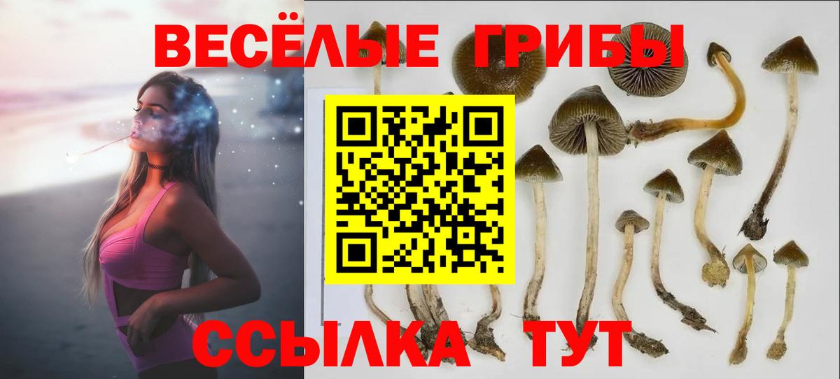 Псилоцибиновые грибы мухоморы Михайловка